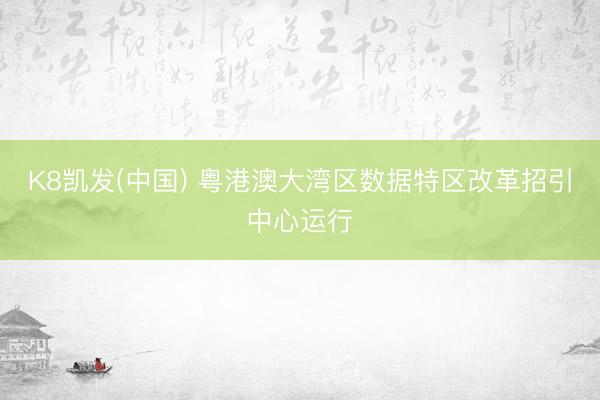 K8凯发(中国) 粤港澳大湾区数据特区改革招引中心运行