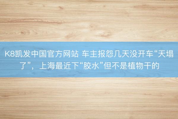 K8凯发中国官方网站 车主报怨几天没开车“天塌了”，上海最近下“胶水”但不是植物干的