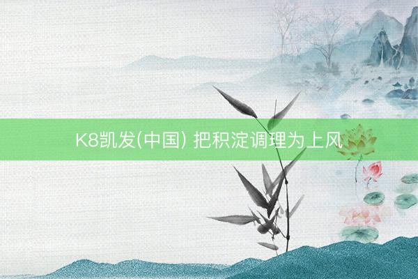 K8凯发(中国) 把积淀调理为上风