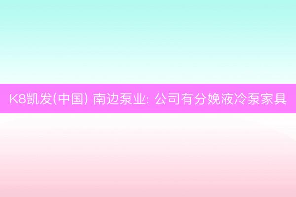 K8凯发(中国) 南边泵业: 公司有分娩液冷泵家具